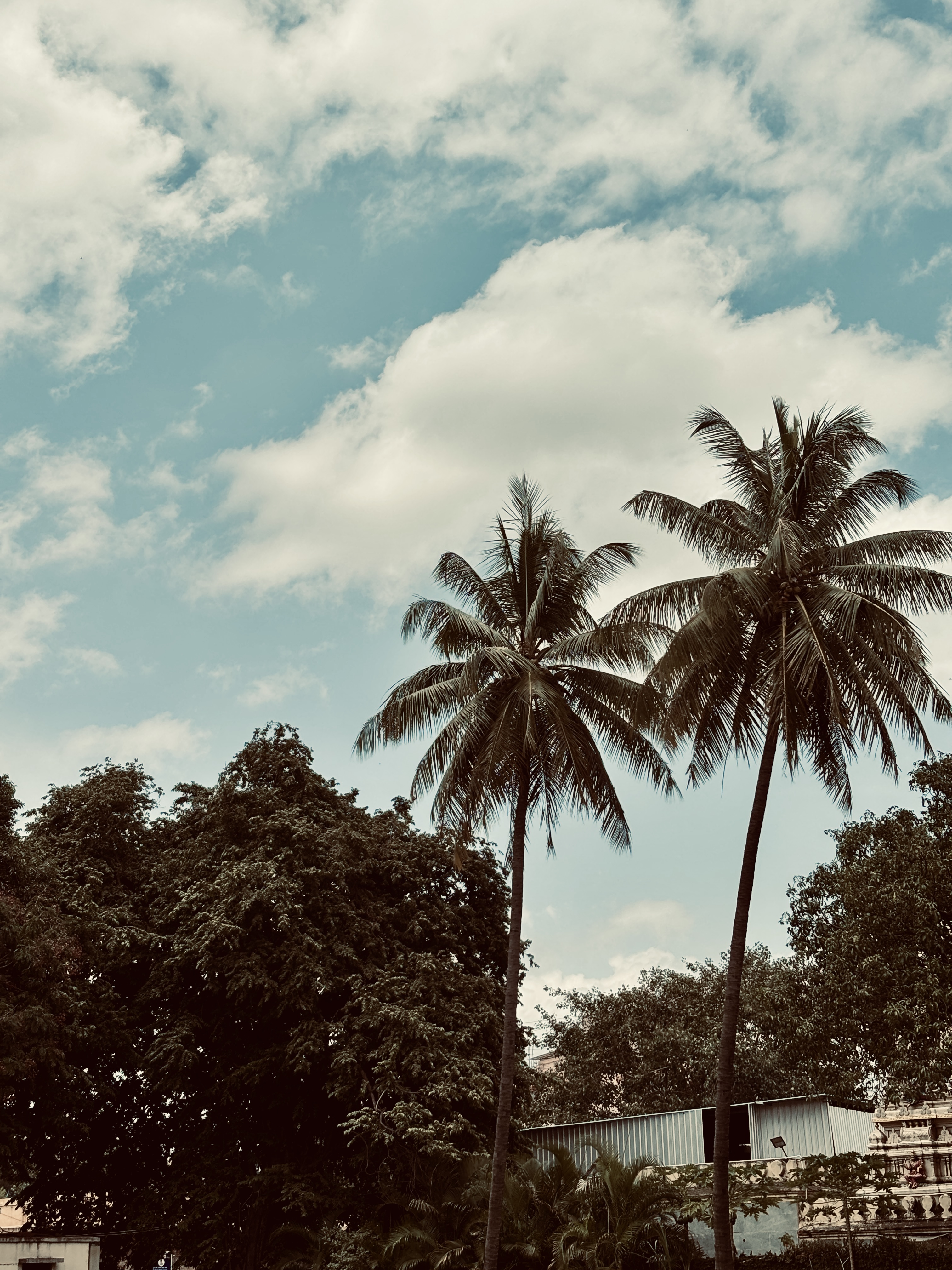 Photography sample